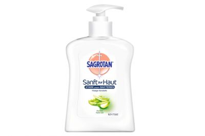 Sagrotan Schaumseife Aloe Vera (250ml)